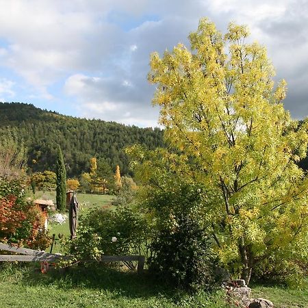 Les Hauts De L'Escoulaou Castellane Room photo