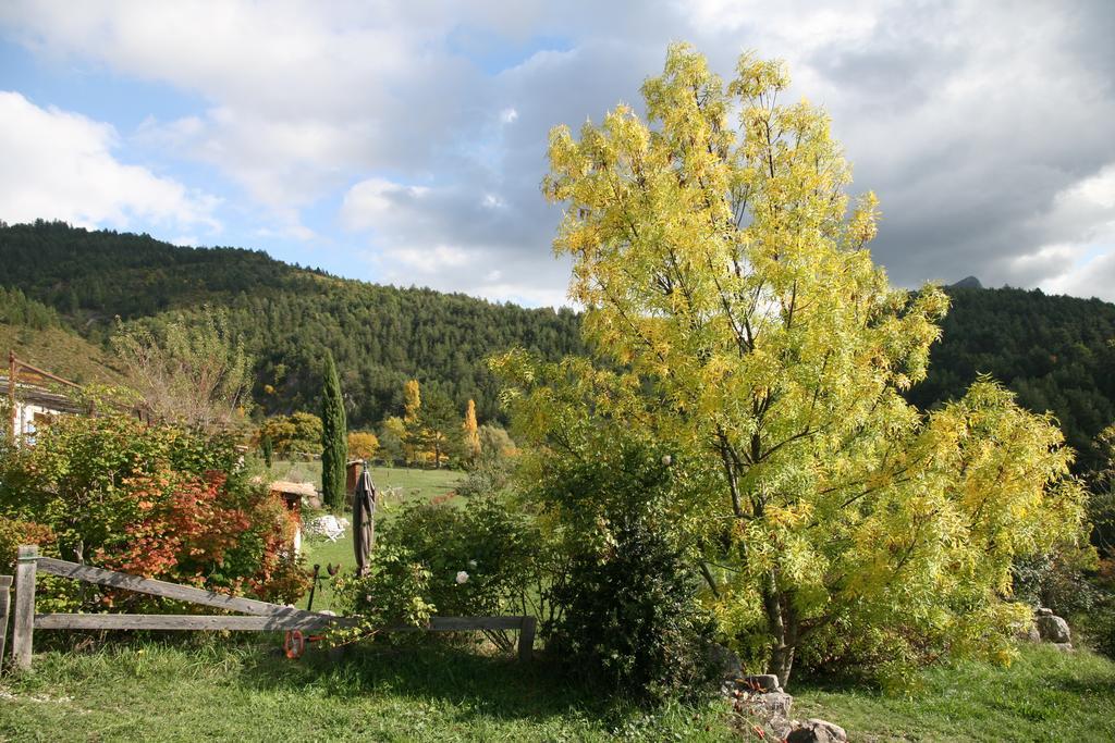 Les Hauts De L'Escoulaou Castellane Room photo