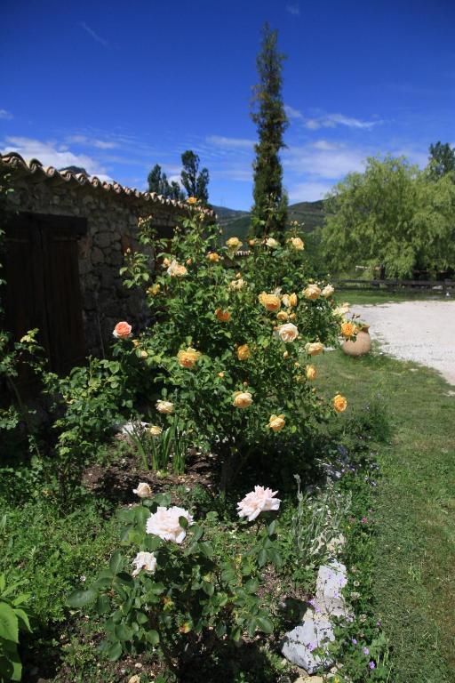 Les Hauts De L'Escoulaou Castellane Room photo