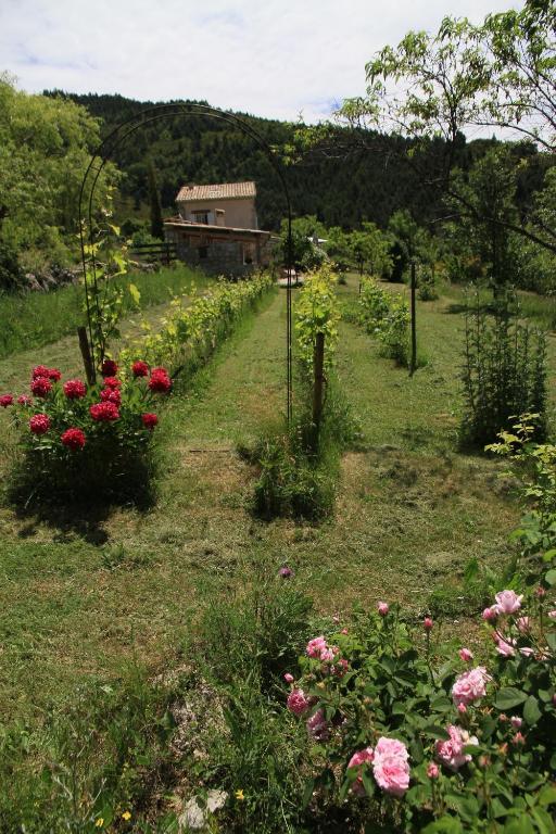 Les Hauts De L'Escoulaou Castellane Room photo